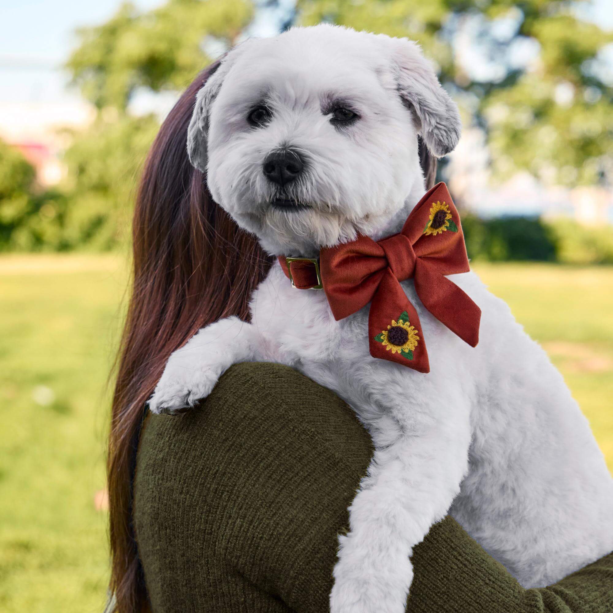 Sunflower Embroidered Lady Bow Collar