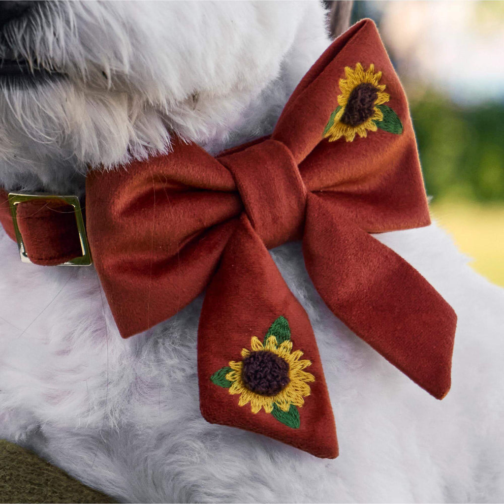 Sunflower Embroidered Lady Bow Collar