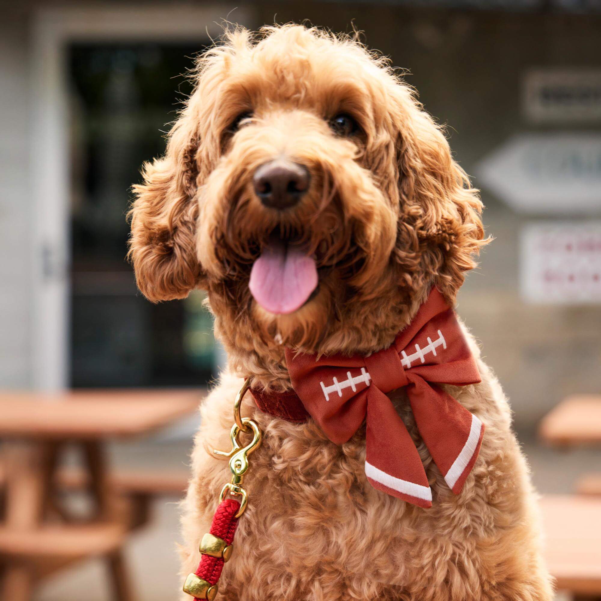 Football Embroidered Lady Bow Collar
